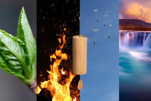 Hoeveel Verschillende Koshi Windgongs Zijn Er? - Gaiachimes